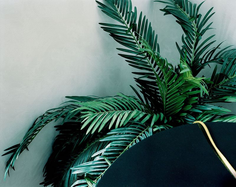 © Nicole Schwartz - Artificial plant