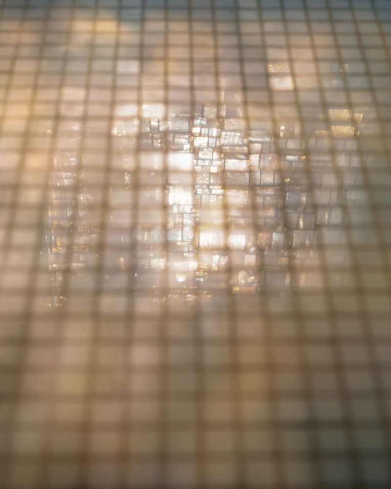 © Nicole Schwartz - Image from the Four Eggs and a Hummingbird photography project