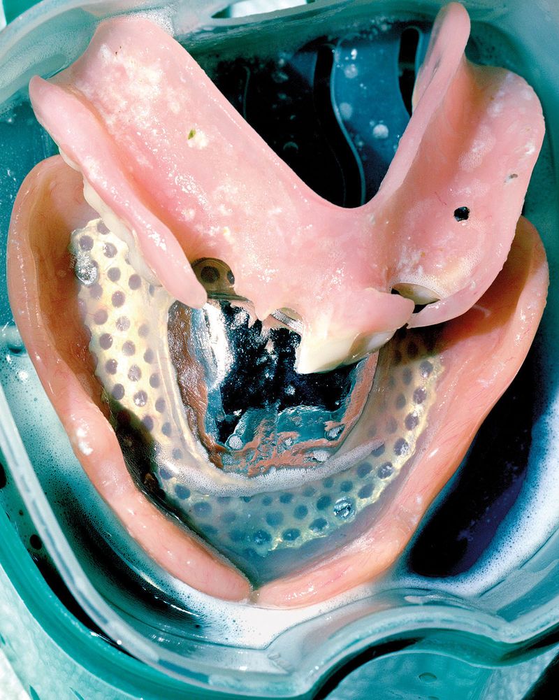 © Nicole Schwartz - Image from the Four Eggs and a Hummingbird photography project