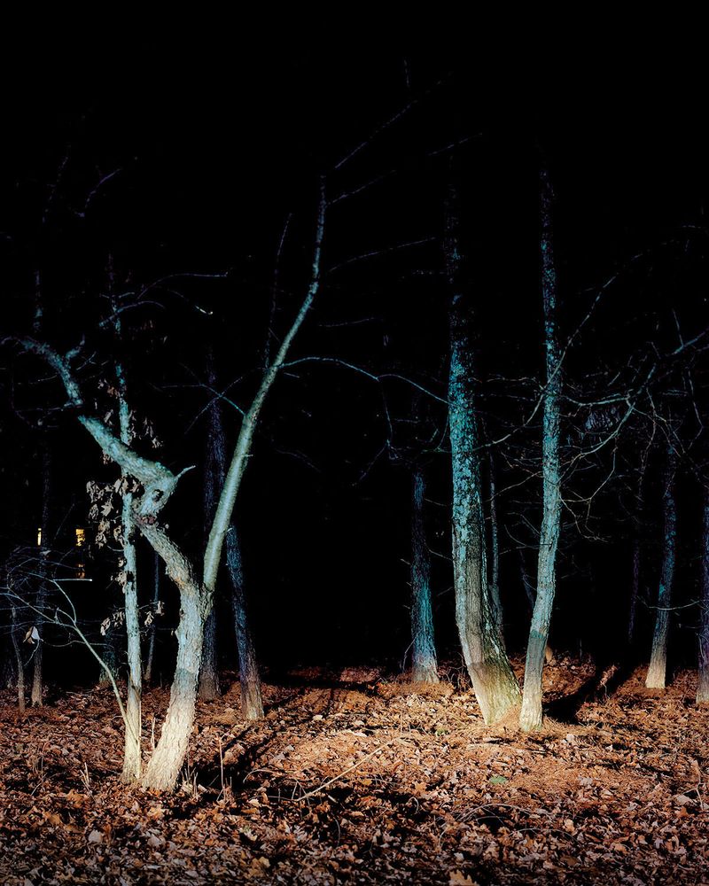 © Nicole Schwartz - Image from the Four Eggs and a Hummingbird photography project