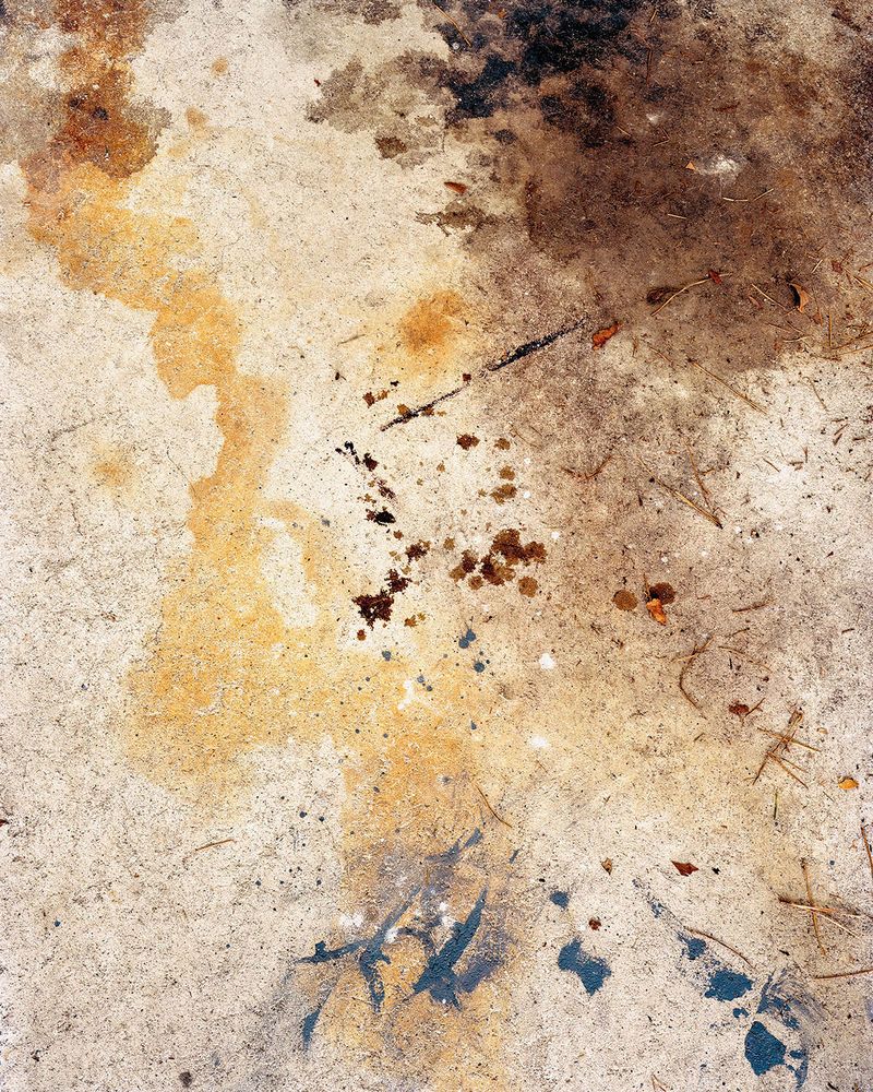 © Nicole Schwartz - Image from the Four Eggs and a Hummingbird photography project