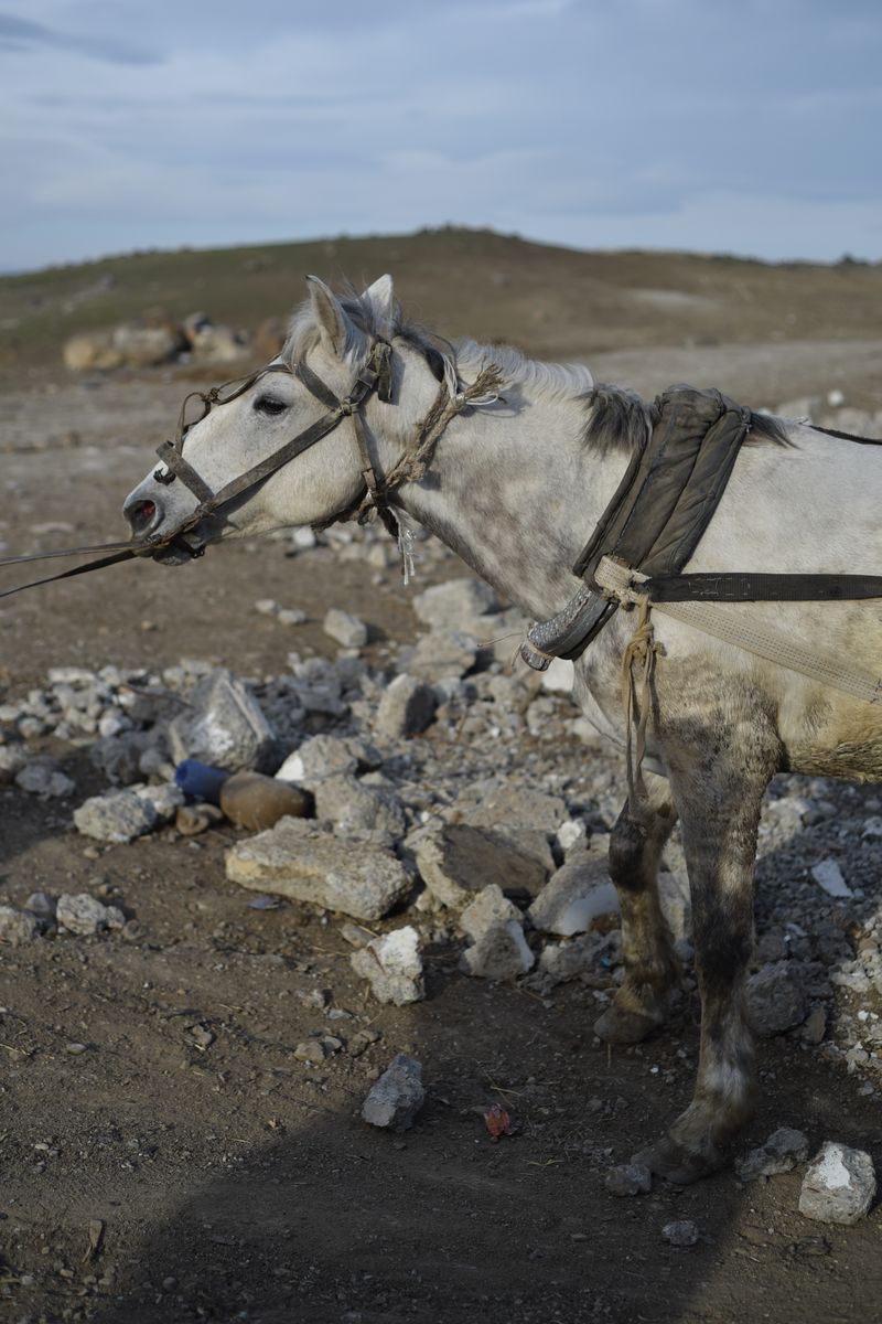 © Natia Rekhviashvili - Image from the marneuli photography project