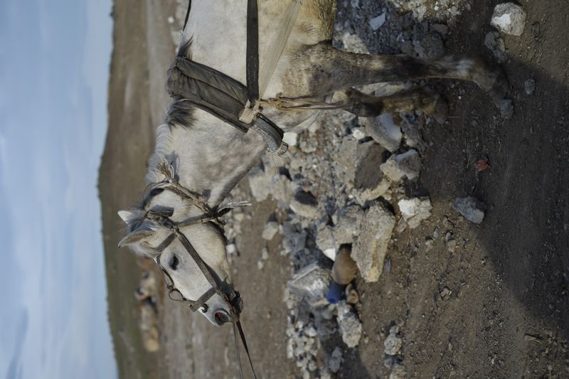 © Natia Rekhviashvili - Image from the marneuli photography project