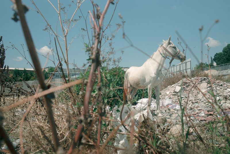 © Suzan Pektas - Image from the Urban Statement photography project