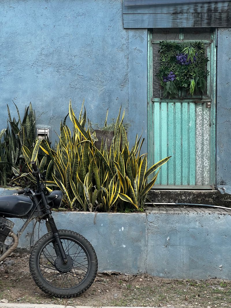 © Anna Brown - Passing by.Mexico, 2025