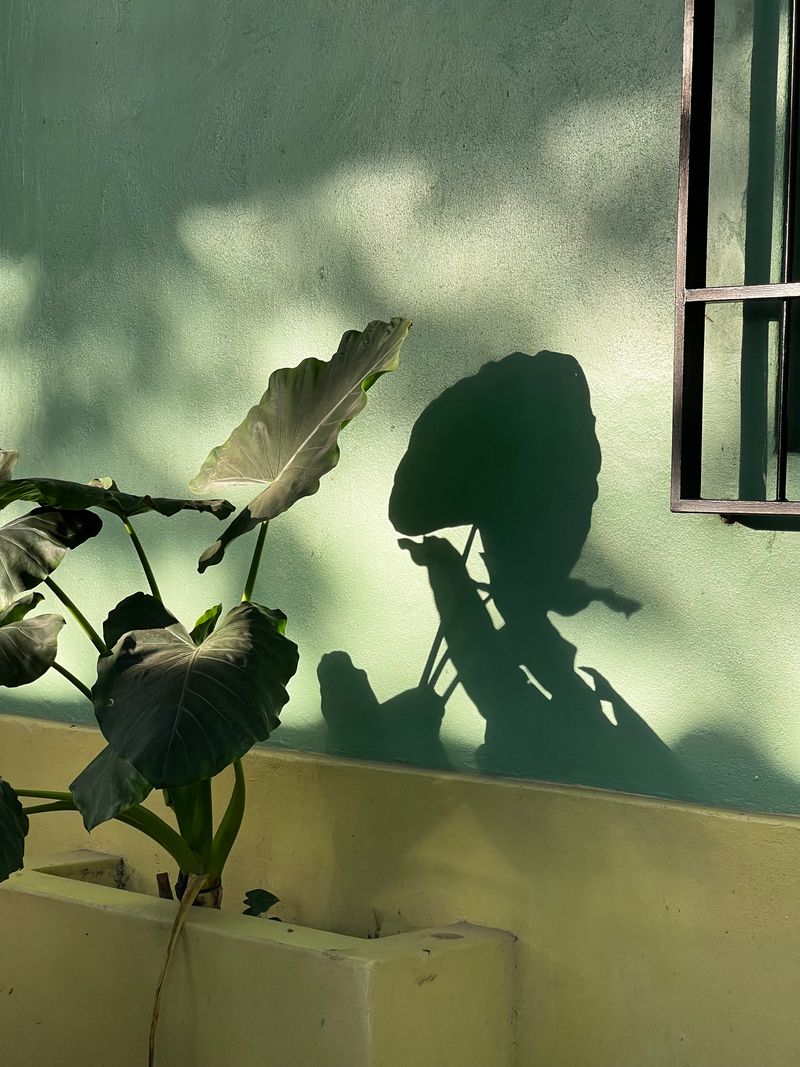 © Anna Brown - Theres's light.Mexico, 2025