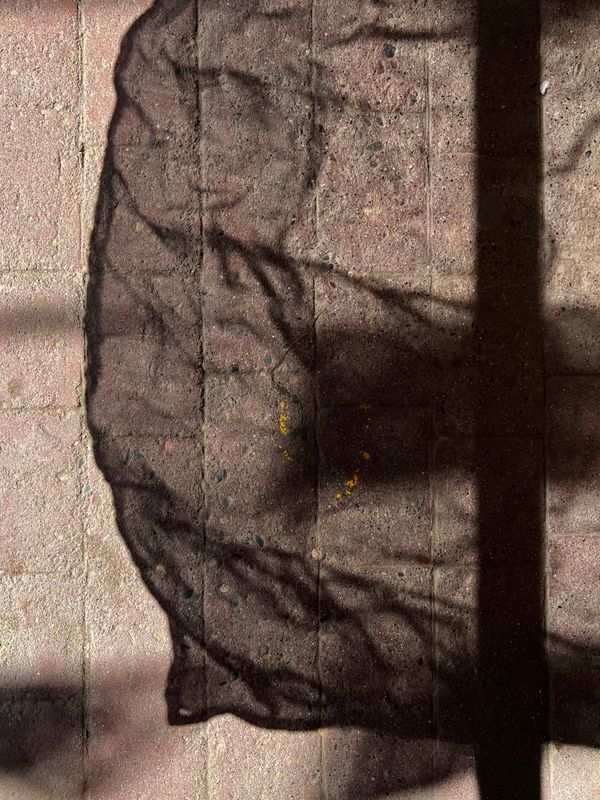 © Anna Brown - I can see through you. Mexico, 2025