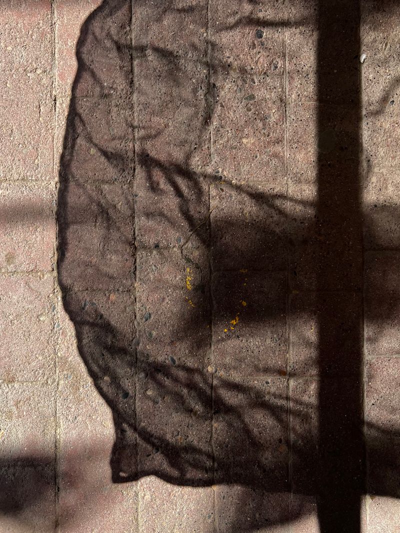 © Anna Brown - I can see through you. Mexico, 2025