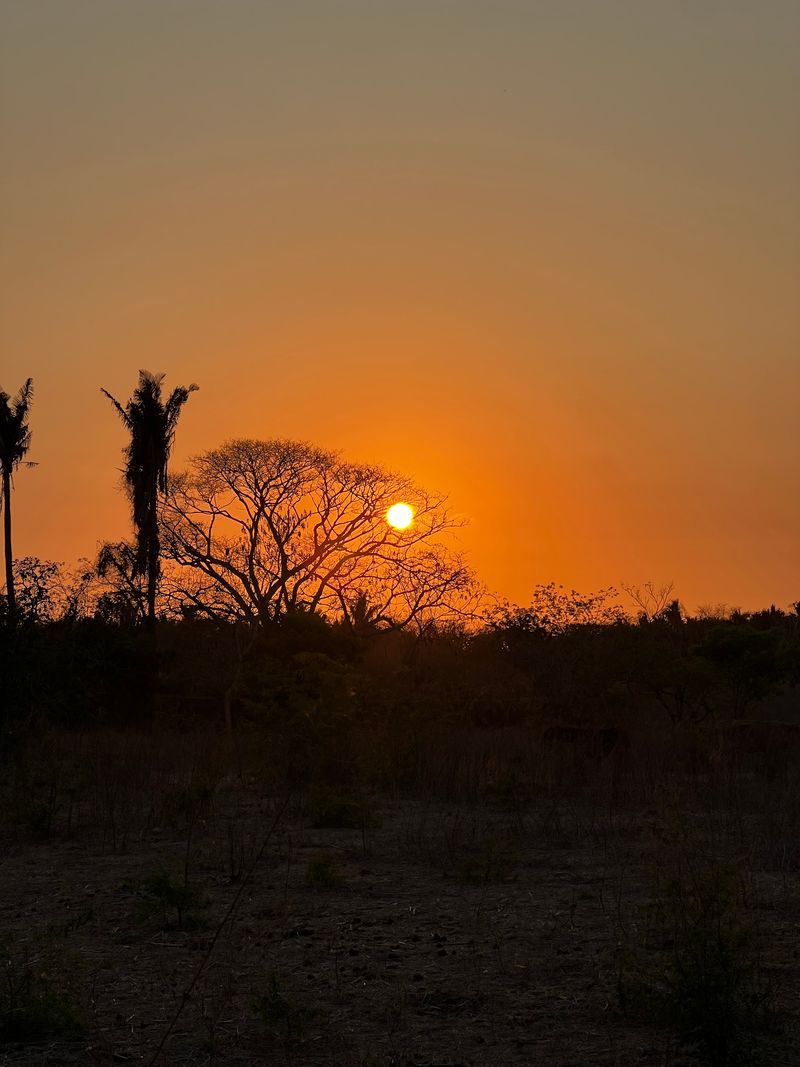 © Anna Brown - What joy.Mexico, 2025