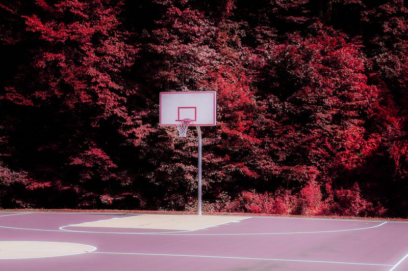 © Tommy Lei - Basketball Court