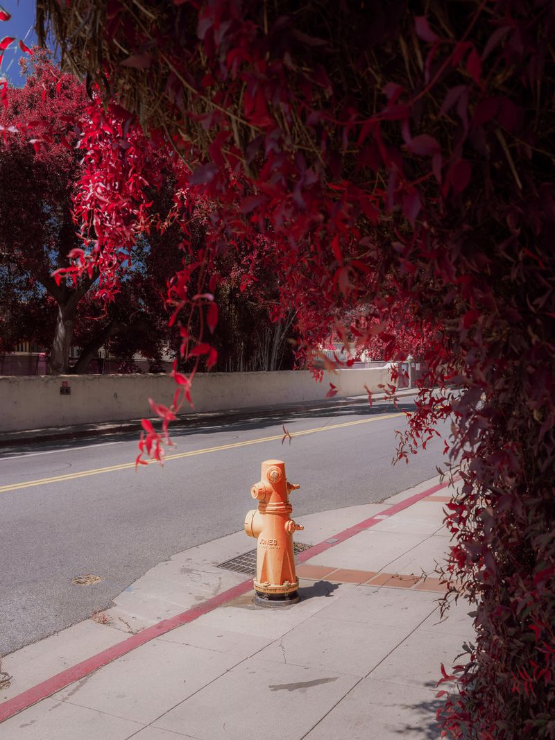 © Tommy Lei - Fire Hydrant