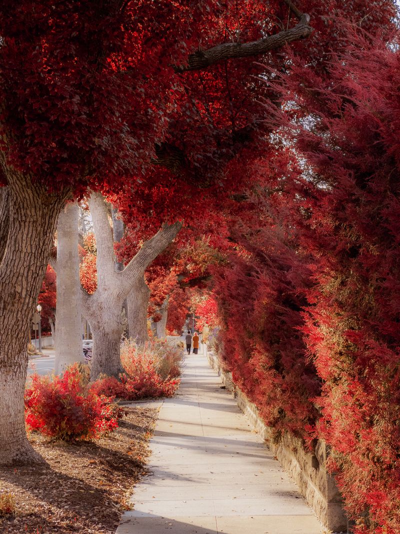 © Tommy Lei - Tunnel