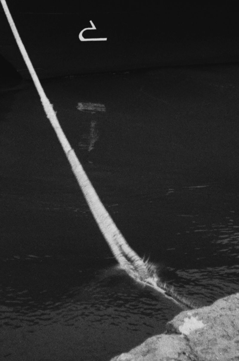 © lucile brizard - 05.