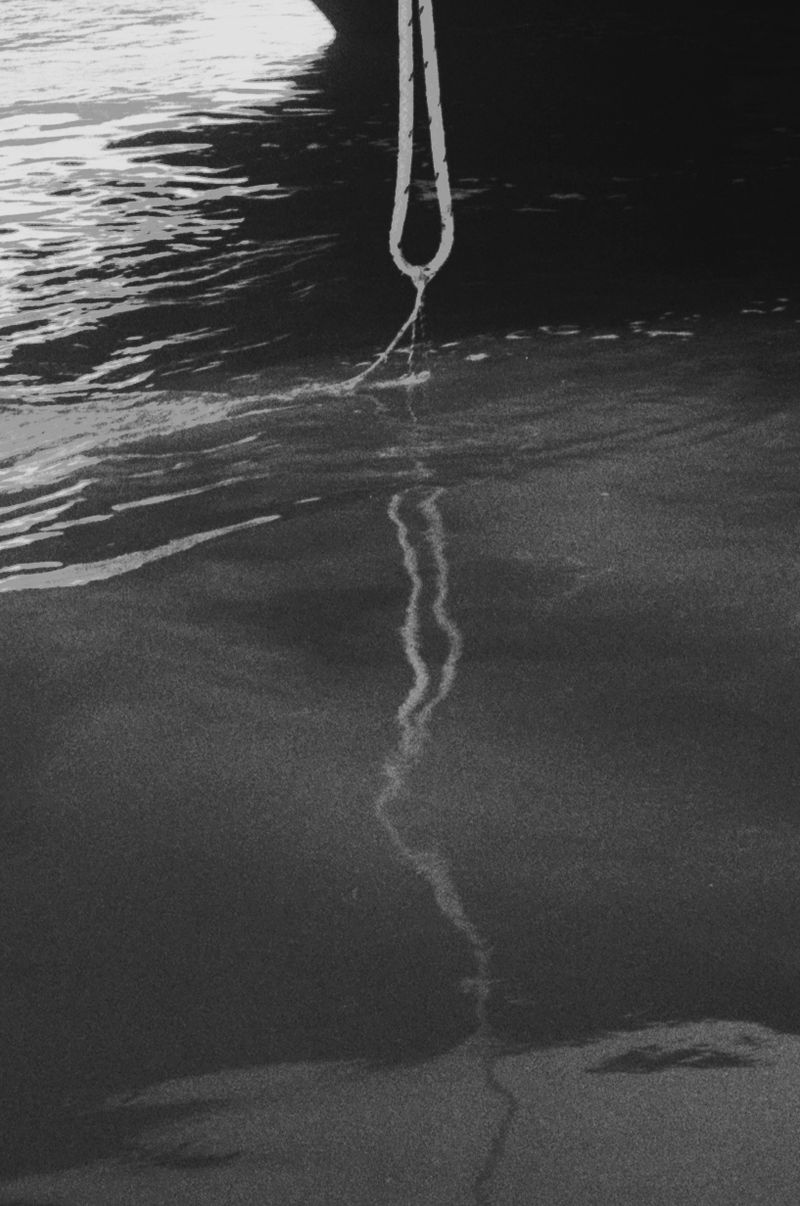 © lucile brizard - 14.