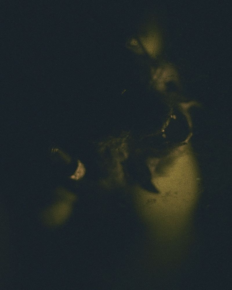© lucile brizard - Image from the The Bats of Kharkiv photography project