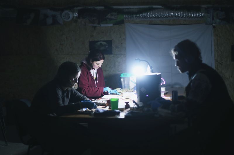© lucile brizard - Image from the The Bats of Kharkiv photography project