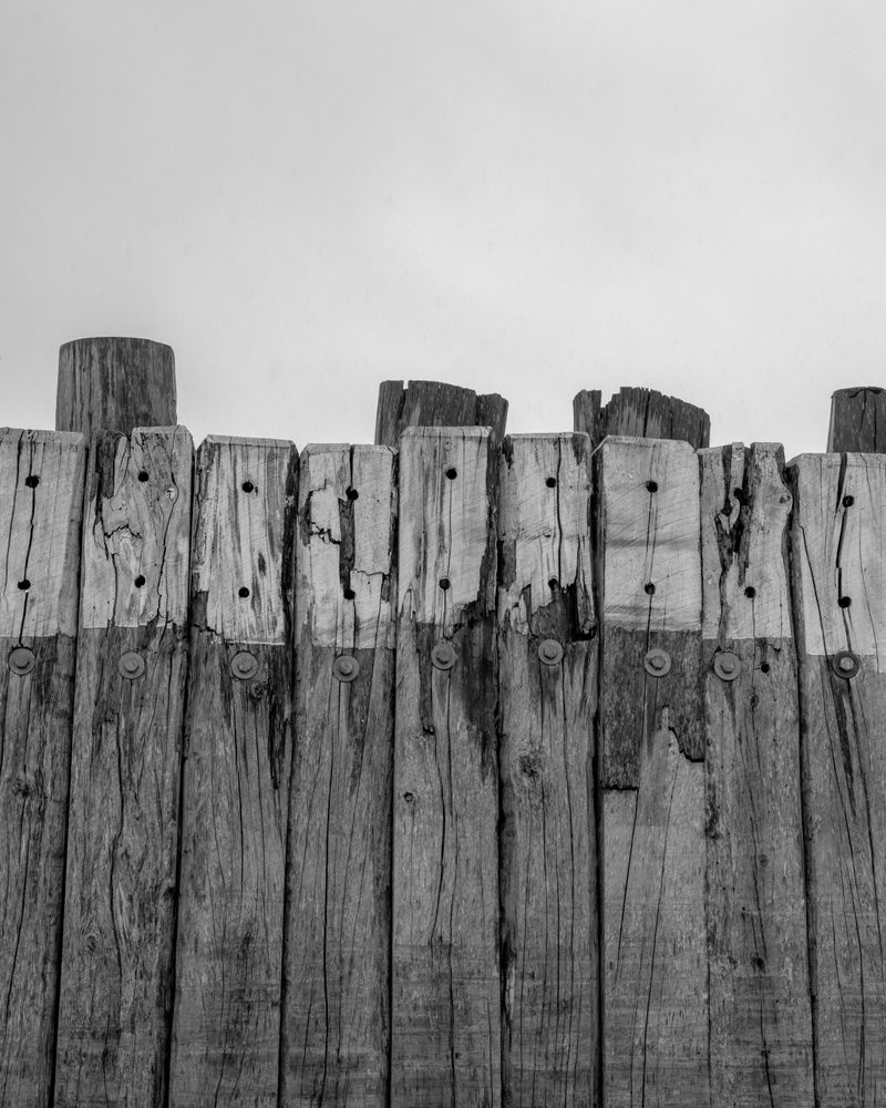 © Michael Valiquette - Image from the Hart Island photography project