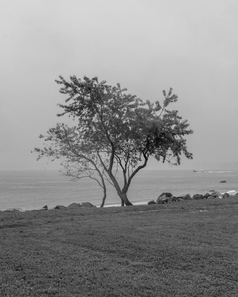 © Michael Valiquette - Image from the Hart Island photography project