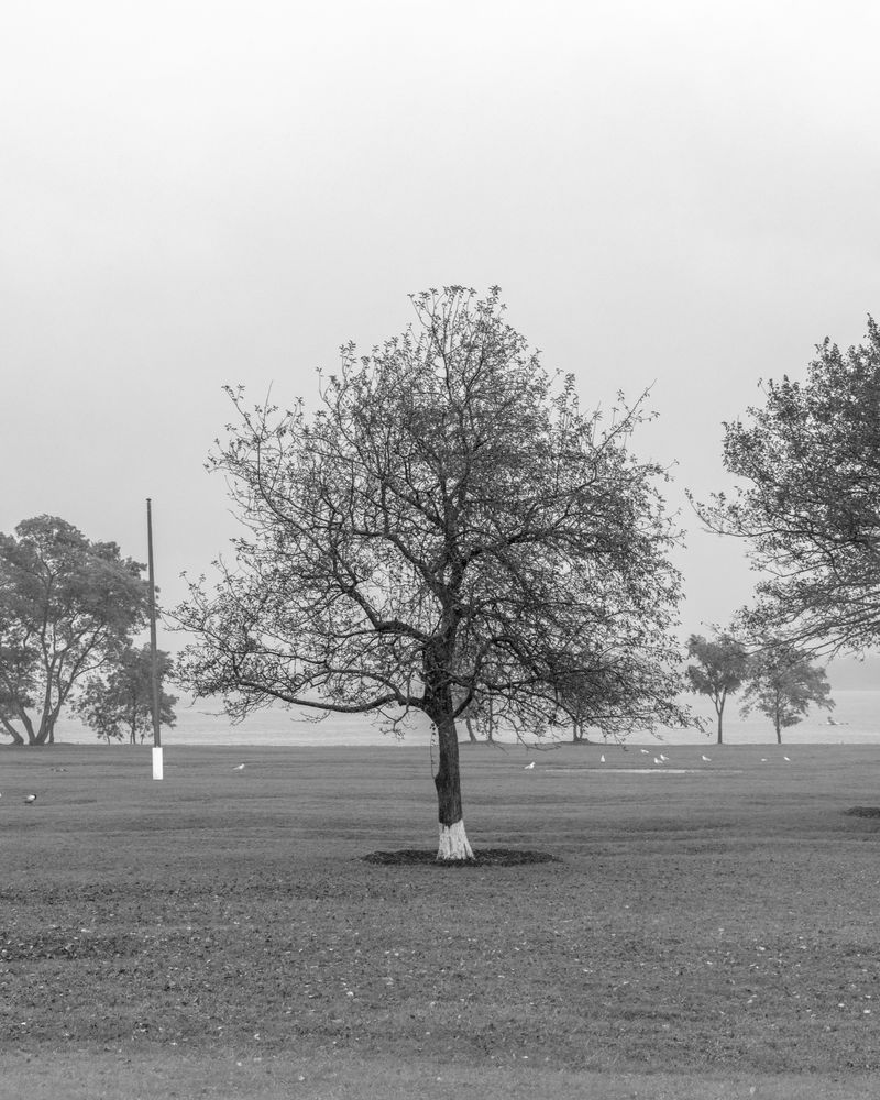 © Michael Valiquette - Image from the Hart Island photography project