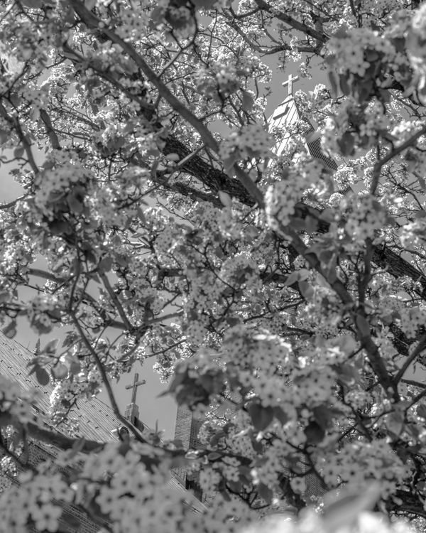 © Michael Valiquette - "Double Crosses", 2022.