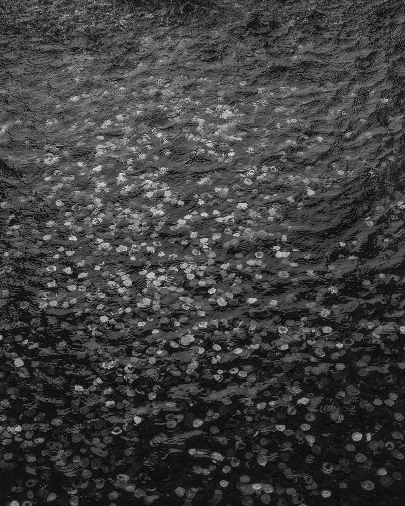 © Michael Valiquette - "Niagara Falls Wishing Well", 2022.