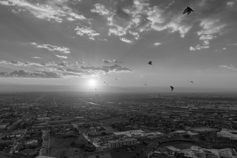 © Michael Valiquette - "Nine Birds"