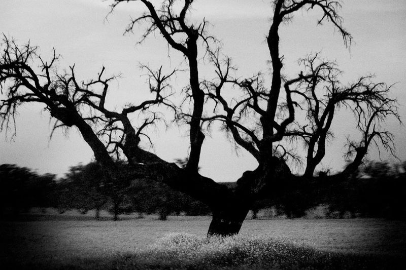 © Cristina Vatielli - Image from the Exilio de dentro photography project