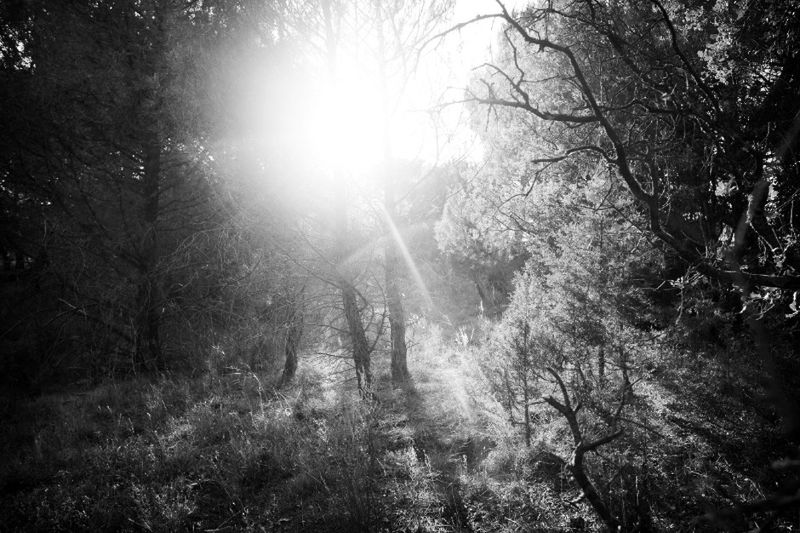 © Cristina Vatielli - Image from the Exilio de dentro photography project