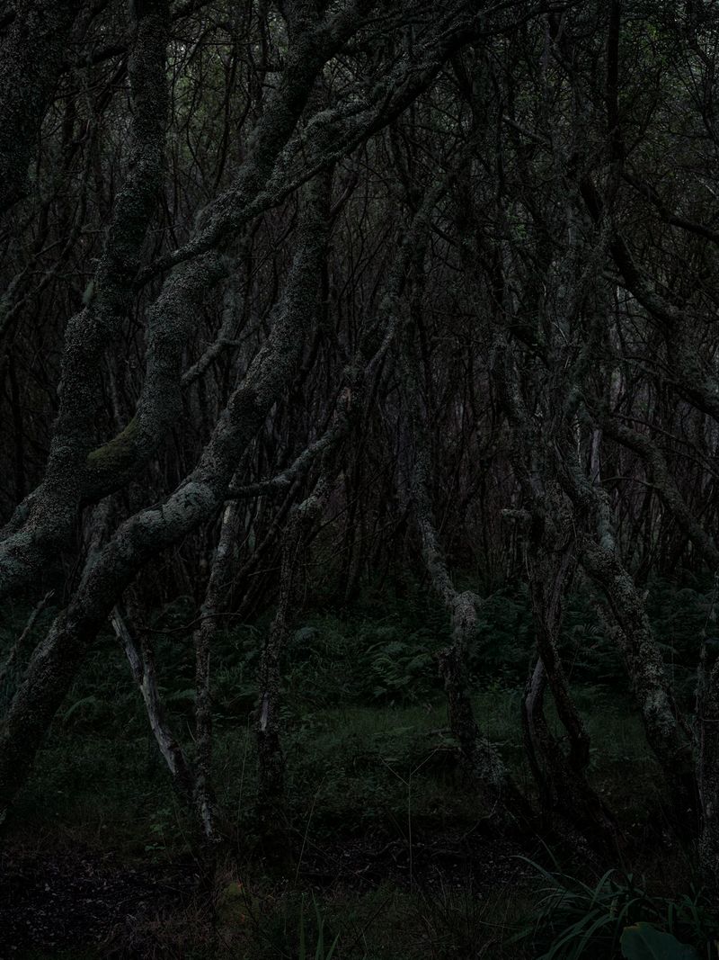 © Cristina Vatielli - Image from the Sin Hombre photography project