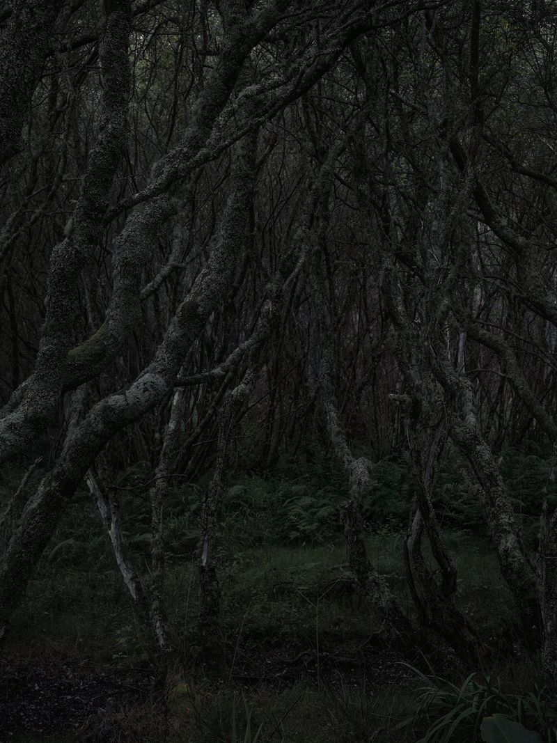 © Cristina Vatielli - Image from the Sin Hombre photography project