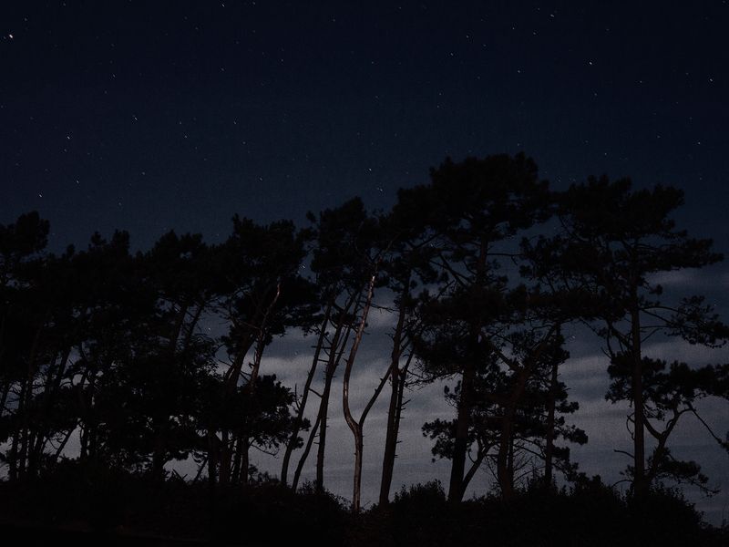 © Cristina Vatielli - Image from the Sin Hombre photography project