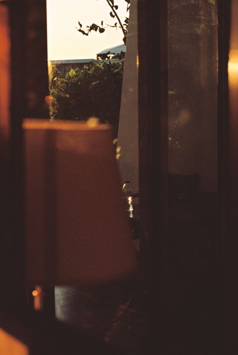 © Lara Kalecik - Image from the In search of habitat photography project