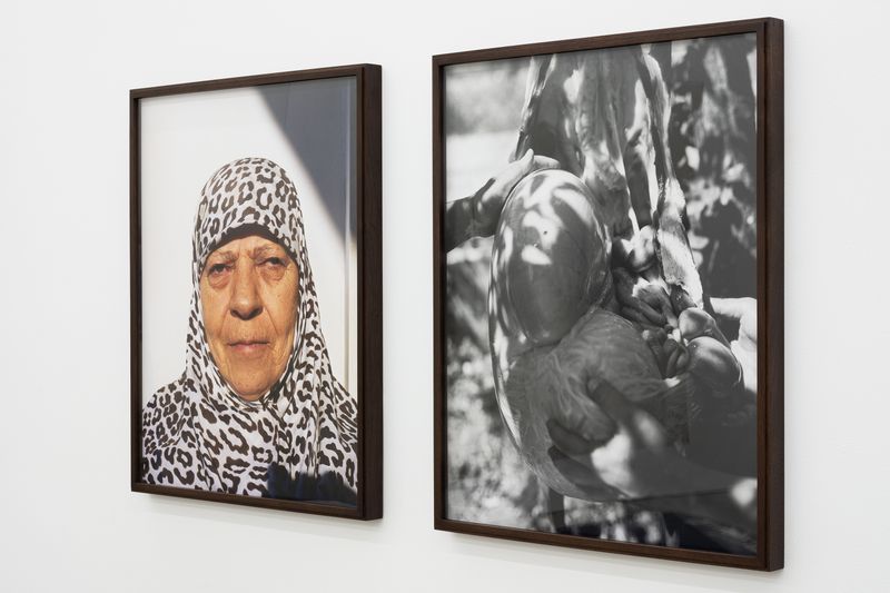 © Abdulhamid Kircher - Image from the Rotting from Within photography project