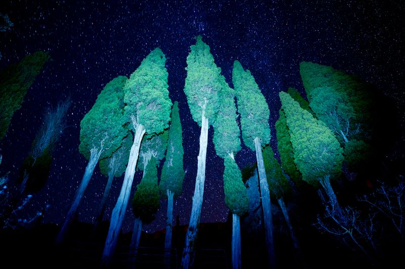 © hiko uemura - crew_07