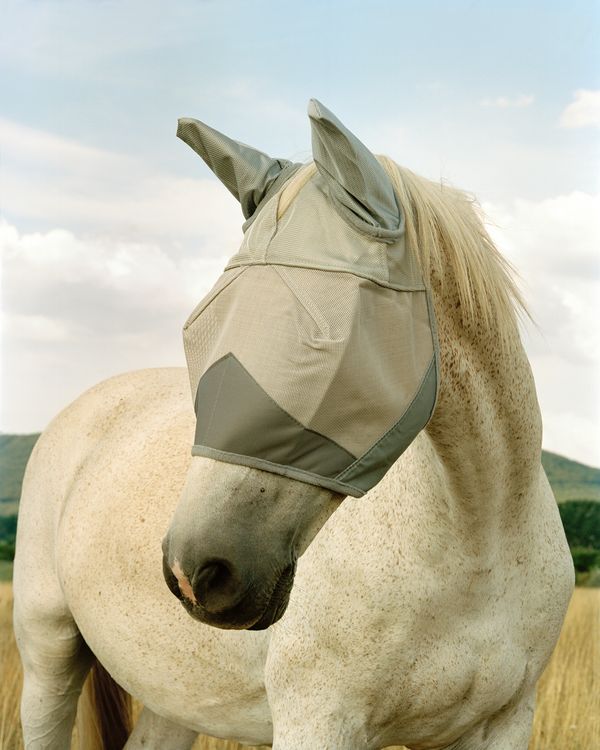 © Kata Geibl - Image from the There is Nothing New Under the Sun photography project