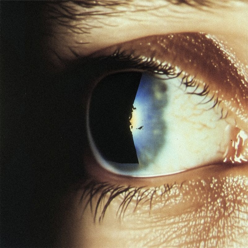 © Kata Geibl - Generative AI Collage