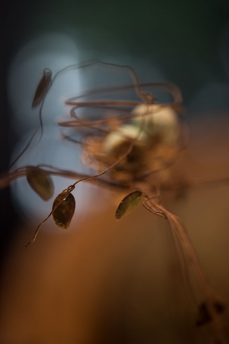 © Patricia Christakos - Image from the The Sleepover photography project