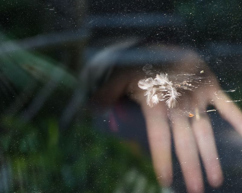 © Patricia Christakos - Image from the The Sleepover photography project