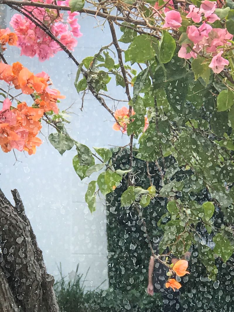 © Patricia Christakos - Image from the The Sleepover photography project