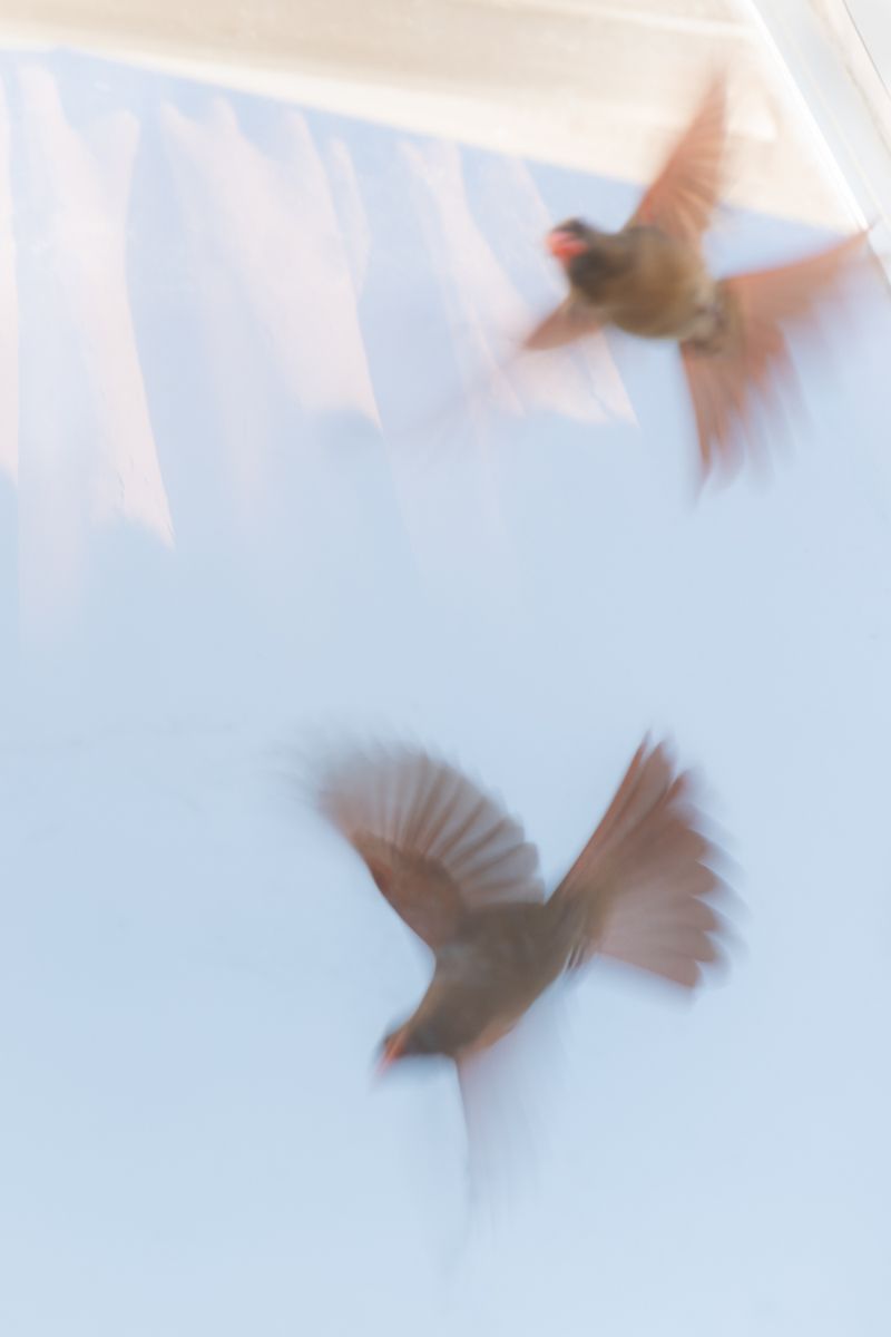 © Patricia Christakos - Image from the The Sleepover photography project