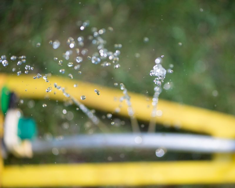 © Patricia Christakos - Image from the The Sleepover photography project