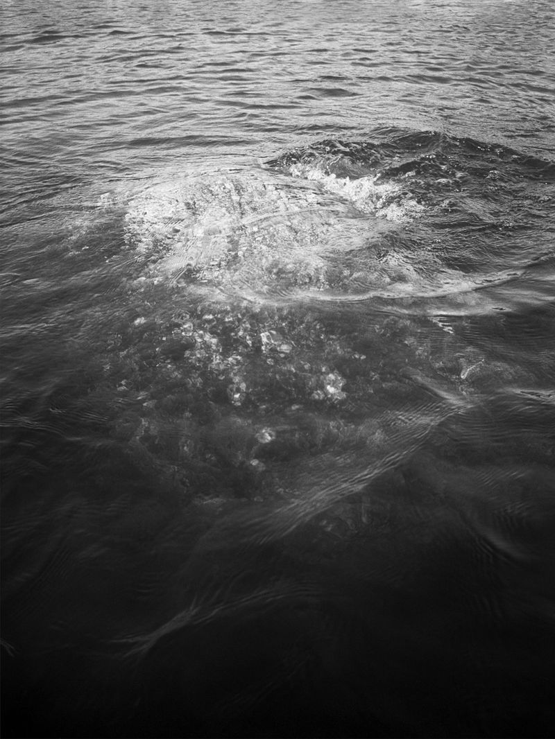 © Izabella Provan - Submerge, 2017