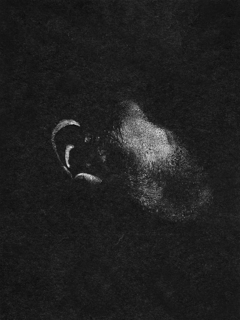 © Izabella Provan - Cheek Imprint, 2014