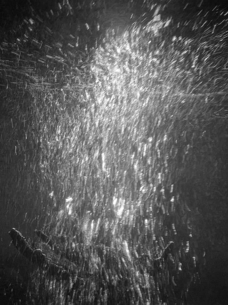 © Izabella Provan - Night stared me in the face, 2019
