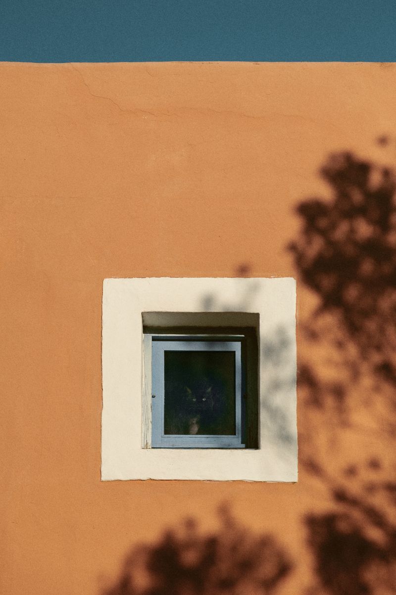 © Elena Pegurri - Image from the Skin, salt photography project