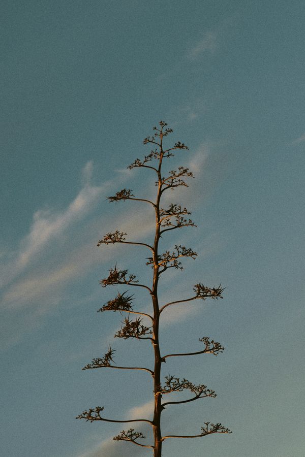 © Elena Pegurri - Image from the Skin, salt photography project