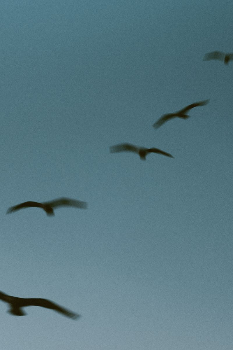 © Elena Pegurri - Image from the Skin, salt photography project
