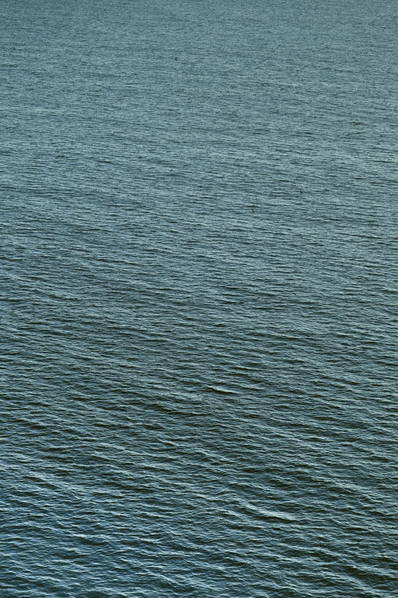 © Elena Pegurri - Image from the Skin, salt photography project
