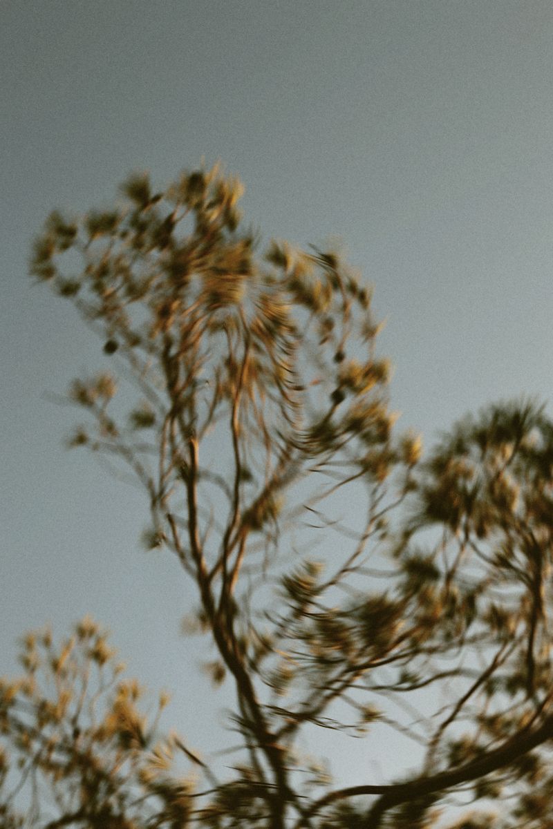 © Elena Pegurri - Image from the Skin, salt photography project