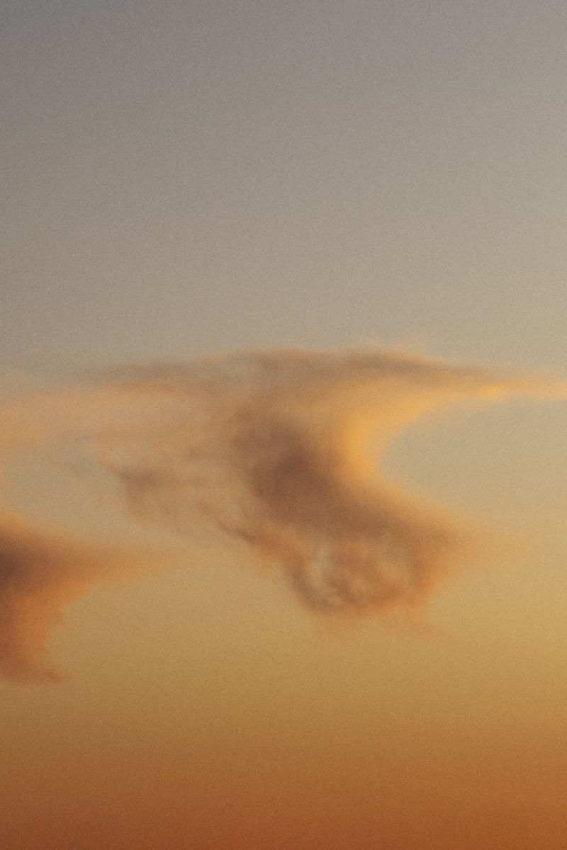 © Elena Pegurri - Image from the Skin, salt photography project